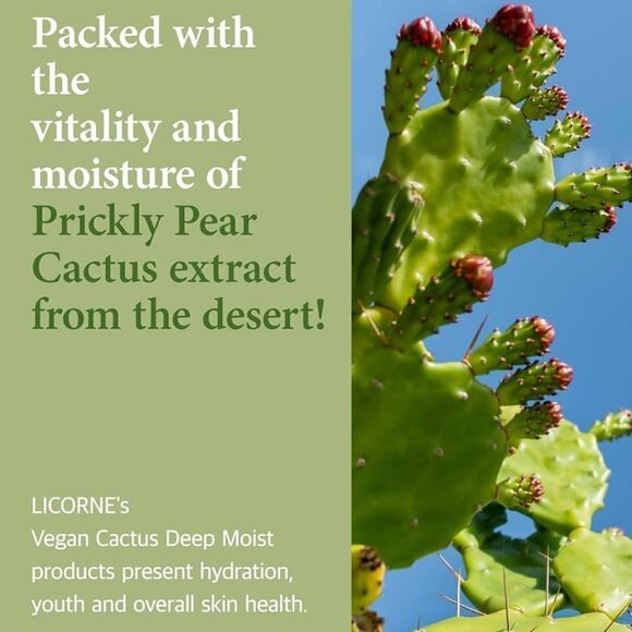 NIB New Licorne Vegan Cactus Deep Moist Serum. 1.52 oz/45 ml - Picture 3 of 14